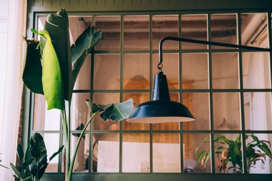 A bright room with a desk lamp and plants by a window