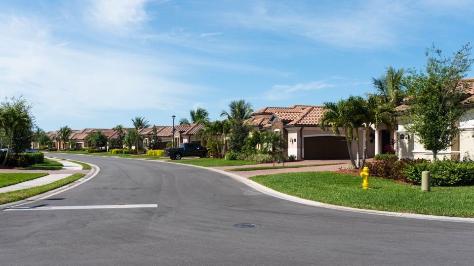 A quiet residential street on a clear day